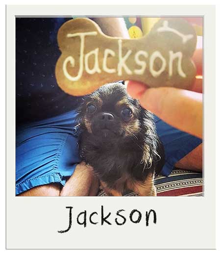 Jackson et son biscuit personnalisée